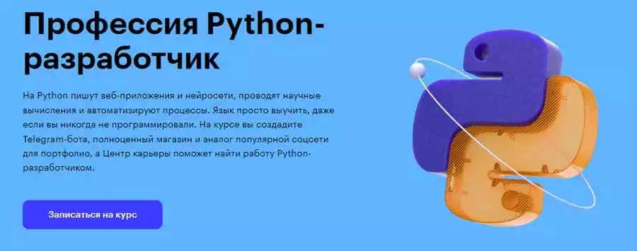 Значимость Python Разработчиков В Будущем