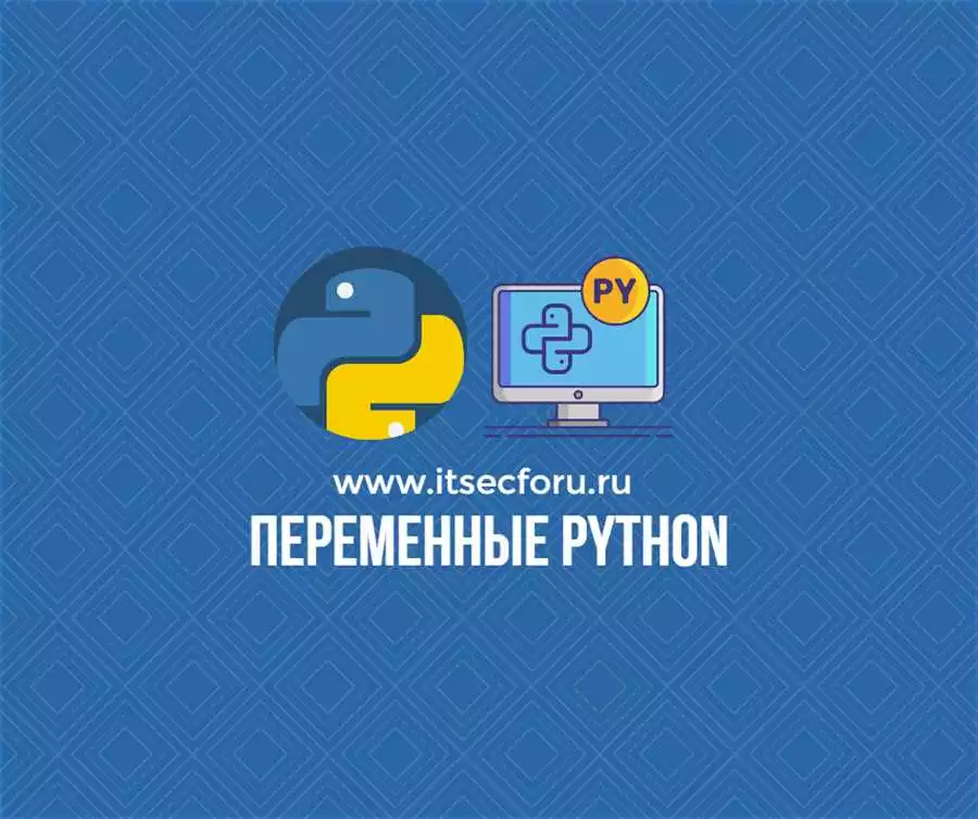 Почему Важно Эффективное Управление Окружением Разработки На Python?
