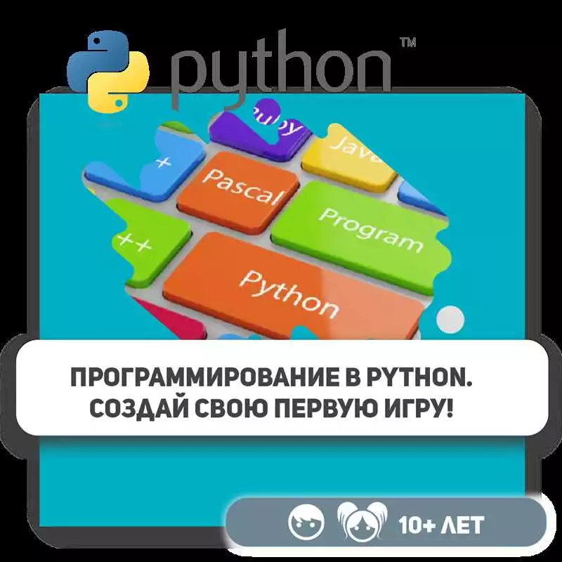 Учим Python С Нуля: Эффективные Курсы Для Начинающих Программистов