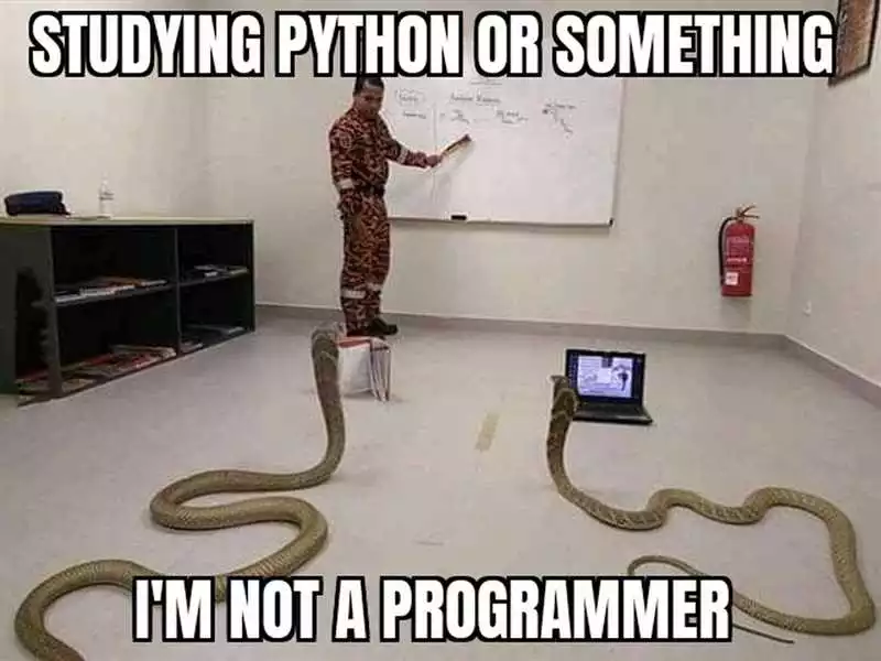 Изучение Синтаксиса Python